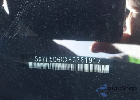 2023 Kia Telluride Sx Prestige X-Pro from USA, damaged, VIN 5XYP5DGCXPG381917